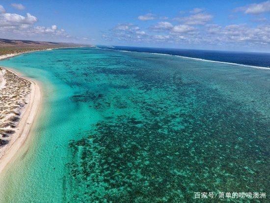 高青子:在沈从文与张兆和婚姻中耗费8年青春,结局并非全身而退