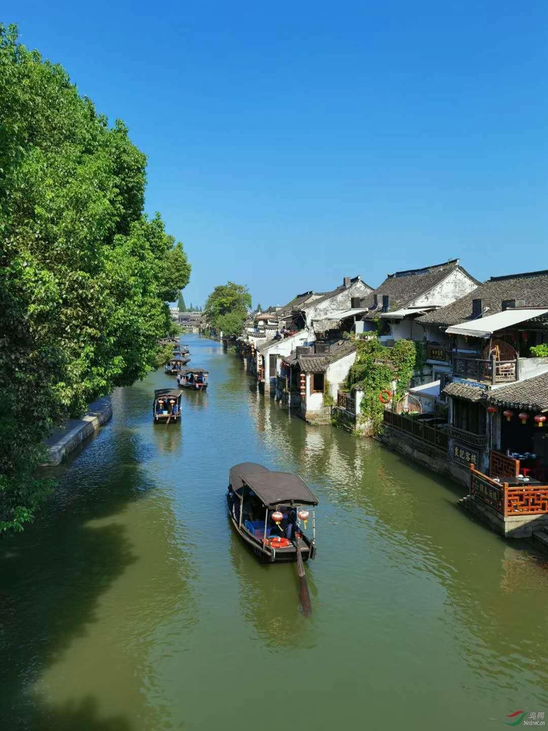 南京一男子醉驾去见女友路上出车祸身亡，女友有责任吗？游戏画面