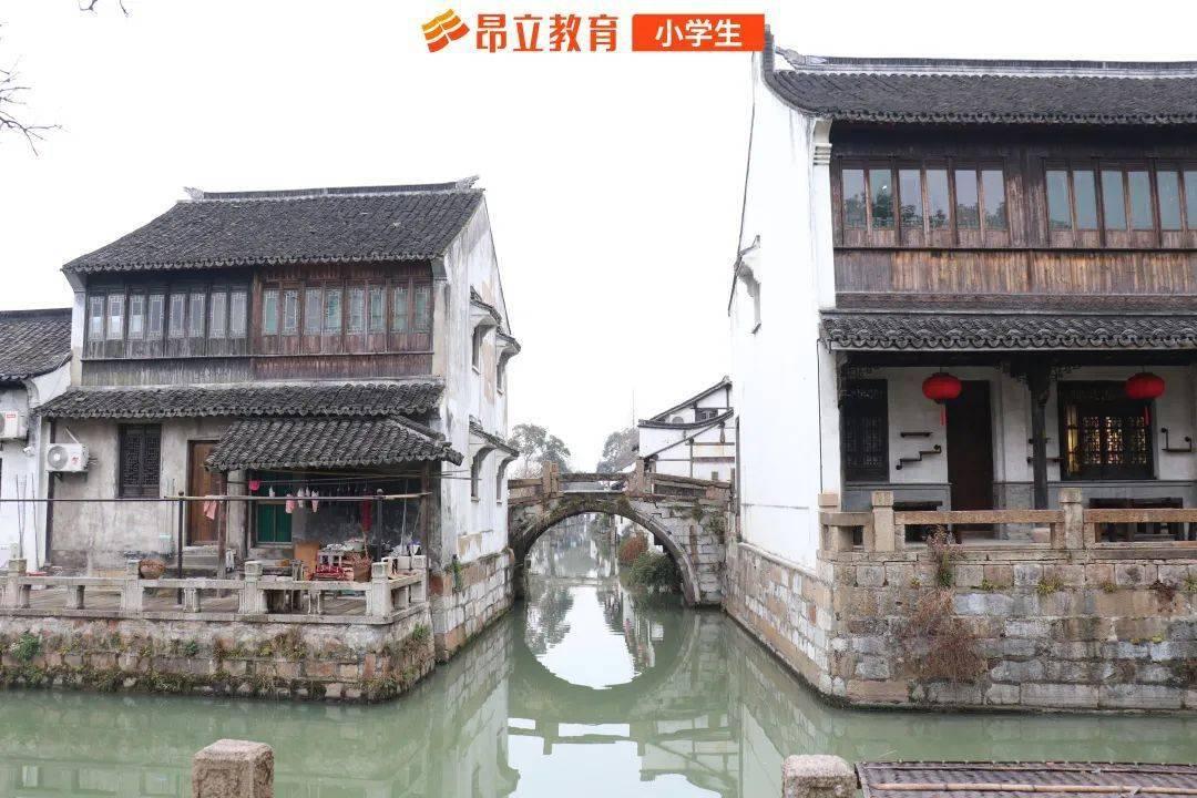 植物大战僵尸4
